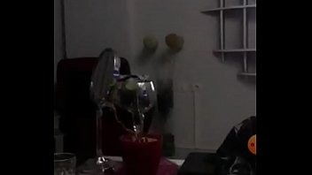 Turkish rabit shows boobs on periscope
