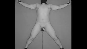 EXPERIMENT: COLLECTIVELY FRIED BALLS officially started. Institution X is executing it. Find out how you can participate in it. electro estim torment electrostimulation shocked testicles