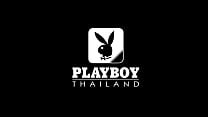 Bunny playboy thai 2017